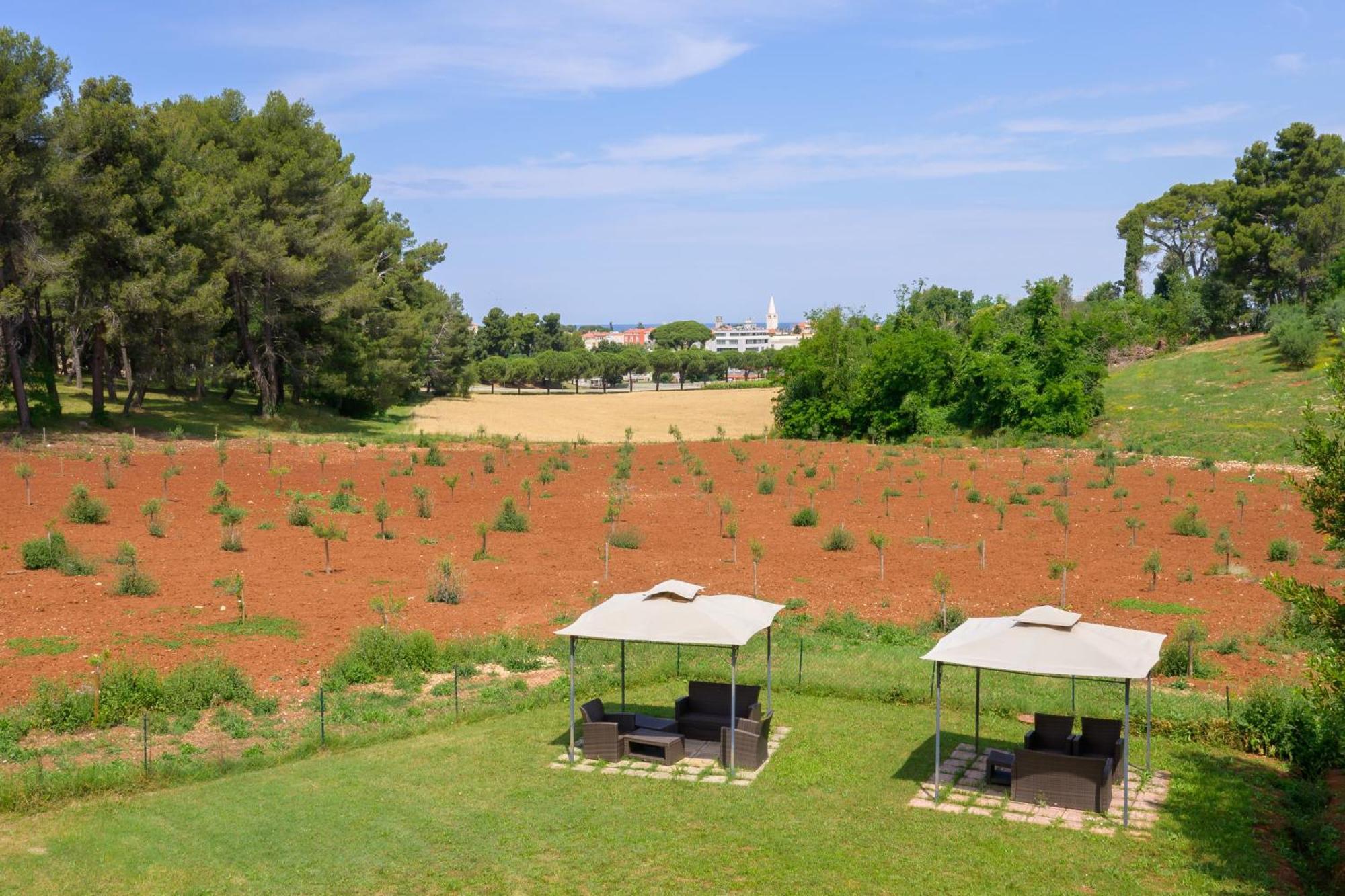 & Darrer Guest house 3*